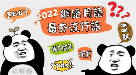 聽你在泉意思|2024最夯網路用語解析